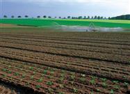 Organic and Sustainable Farmers Can Feed the World