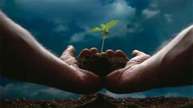 Monsanto's Many Attempts to Destroy All Seeds but Their Own