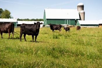 Raids are Increasing on Farms and Private Food-Supply Clubs