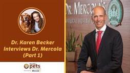 The Best Strategy for Pet Owners Who Want Holistic Care for Their Pets