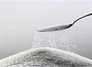 Agave: Is this Popular Natural Sweetener Worse than High Fructose Corn Syrup?