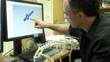 Bionic Cat Walks Again … Thanks to New Prosthetic Paws