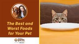 13 Pet Foods – Ranked From Great to Disastrous…