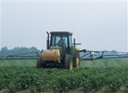 GM Crop Use Makes Minor Pests a Major Problem