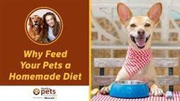Three Major Reasons to Feed Your Pet a Homemade Diet…