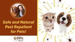 The Oil that Makes Your Pet 'Invisible' to Pests Waiting to Feed on Them...