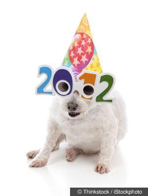 How You Can Make Your Pet Happier and Healthier in 2012