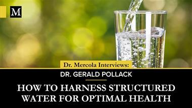 Water: The Single Most Important Element for Your Health