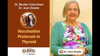 Saliva Testing Pins Down Your Dog's Food Sensitivities