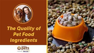 Part 2 - Your Pet's Food: Exposing Manufacturers' Dirty Tricks
