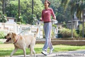 Power Walks: A Great Way to Improve Your Dog’s Fitness (and Yours!)