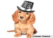 New Year’s Resolutions for Pet Lovers