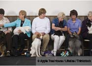 Real Stories of Pets