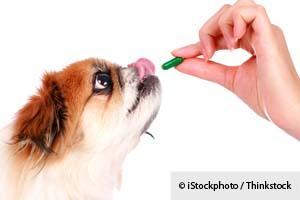 Nutritional Supplement for Dogs