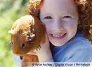 Guinea Pigs Are Loaded with Charm and Personality
