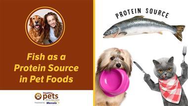 Warning - The Very Food Your Pet is Addicted to May Contain Deadly Ethoxyquin