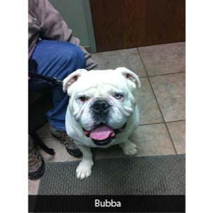 This Month’s Real Story: Bubba