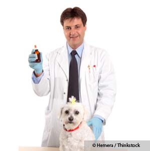 Having Trouble Finding a Holistic Vet in Your Area?