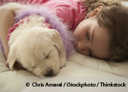 Owner-Pet Attachment