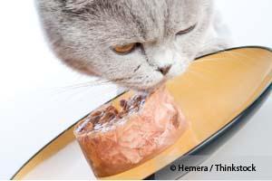 High-Moisture Cat Food