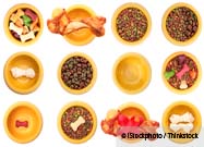 Dog Food