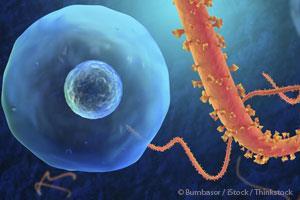 Virus del Ebola