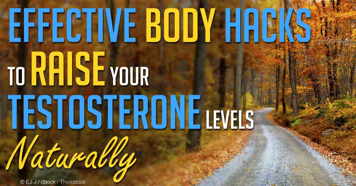 9 Ways to Naturally Increase Testosterone Levels