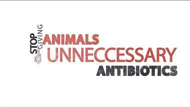 Farm Antibiotics Spur Antibiotic-Resistant Disease in Humans