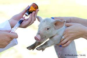 Antibioticos en Animales