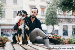 dog friendly cities