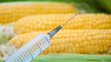 Genetic Fallacy: How Pesticide Companies Silence Scientific Dissent