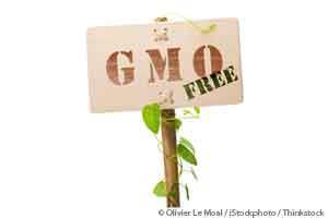GMO-Free