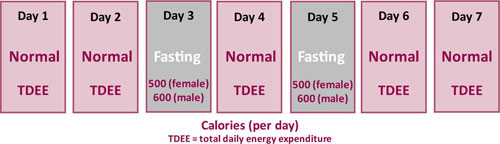 calories per day