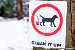 Dog Poop Clean-up