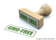 GMO Labeling