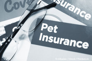 Pet Health Insurance