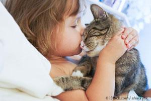 Child Kisses A Cat
