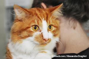woman hugging orange tabby cat