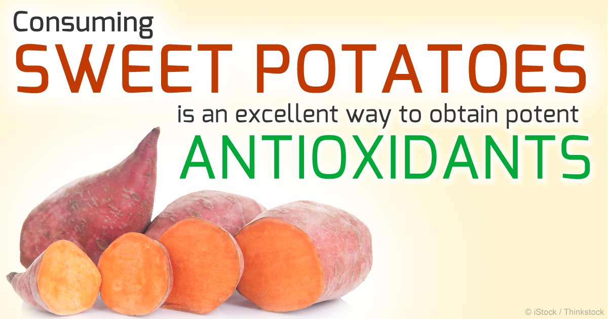 Image result for benefits of sweet potato