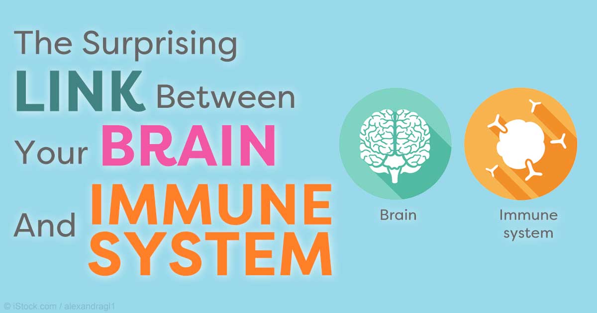 Direct Link Between Brain And Immune System Discovered