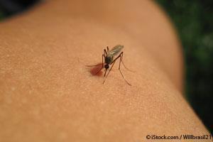 Repelente para Mosquitos
