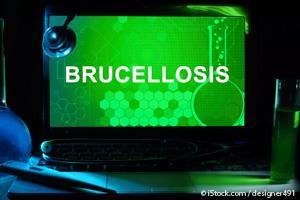 Brucellosis in Animals