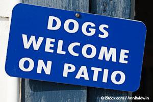 Dogs Are Now Allowed at Restaurants