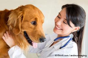 Hipotiroidismo Canino