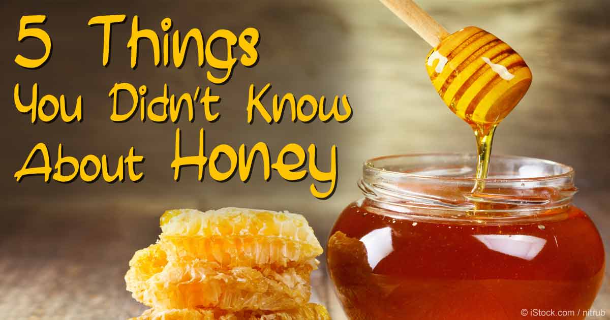 5 Things You Didn't Know About Honey