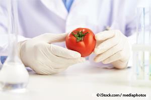 Alimentos Geneticamente Modificados