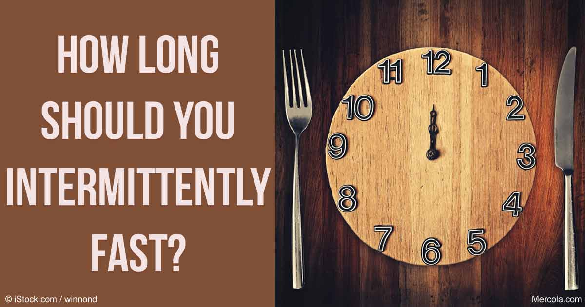 23 Hour Body Clock Diet