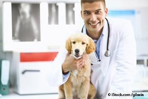 dog health check