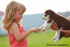little girl and puppy friendship