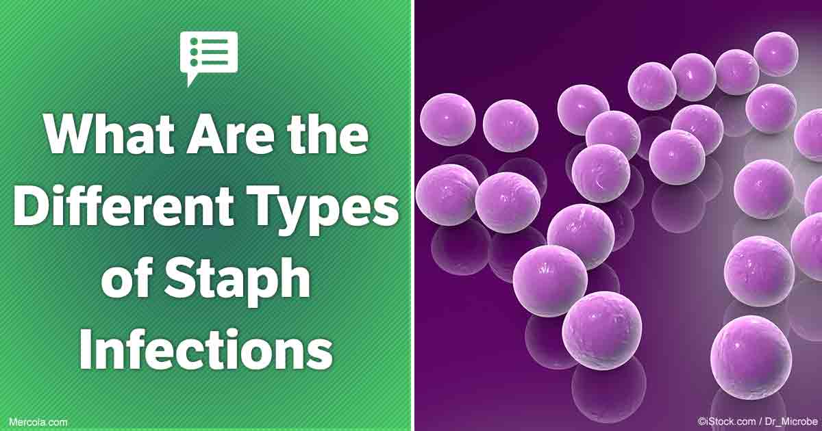 What Are the Different Types of Staph Infections